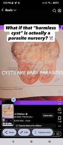 8f2f624f-5c95-492b-883b-c434795818c2