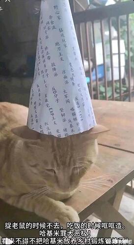 491c267f9e2f07083bf2ee15af24b899a801f27f